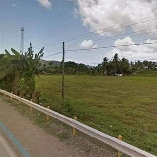 Commercial Land for Sale - Hiway Toledo City, Cebu