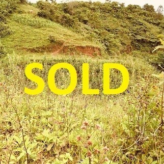 333/sqm Land for Sale - near Transcentral Hiway