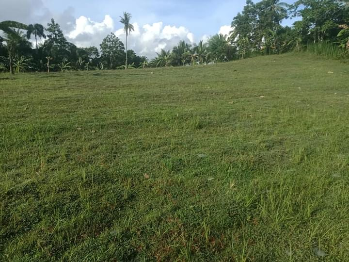 tubod -03