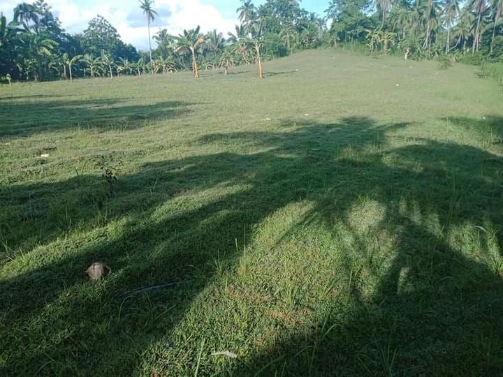 tubod -05