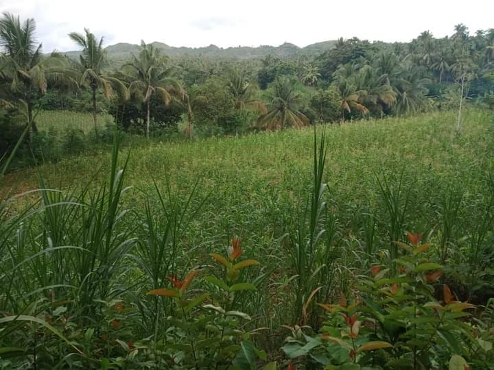 tubod -07