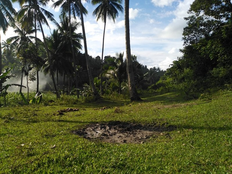 tulang -04