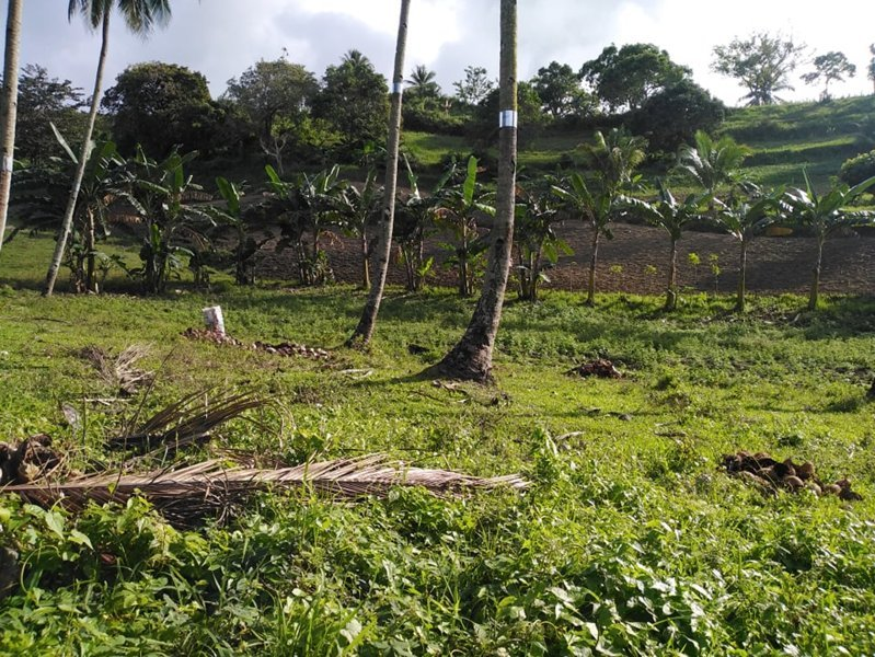tulang -08