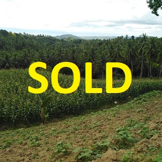300/sqm Land for Sale - Tulang, Argao, Cebu