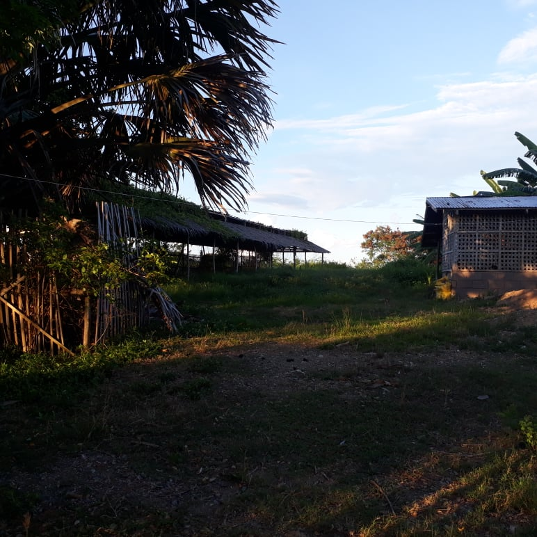 ubay resort -24