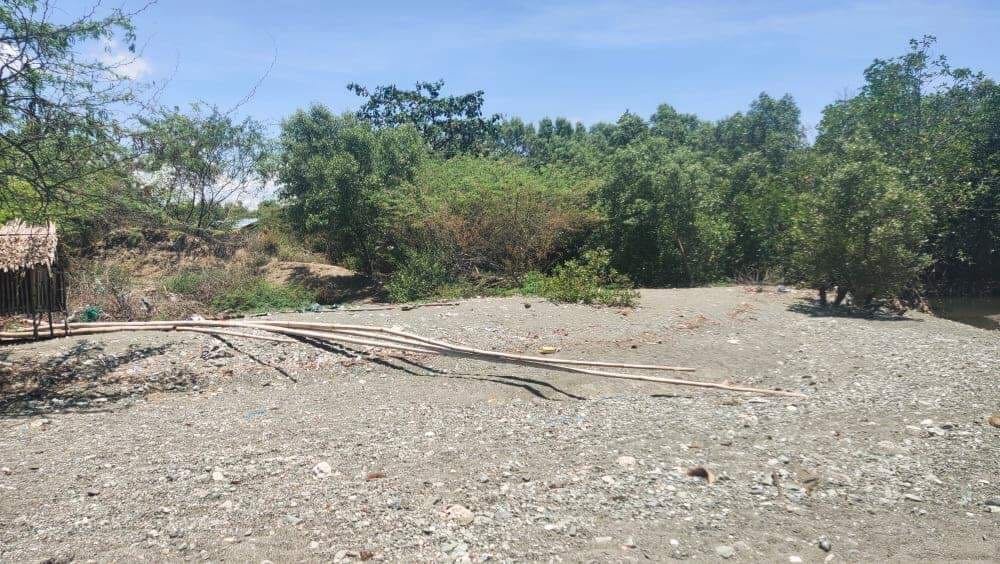 1486 sqm Affordable Beach Land for Sale in Asturias Cebu