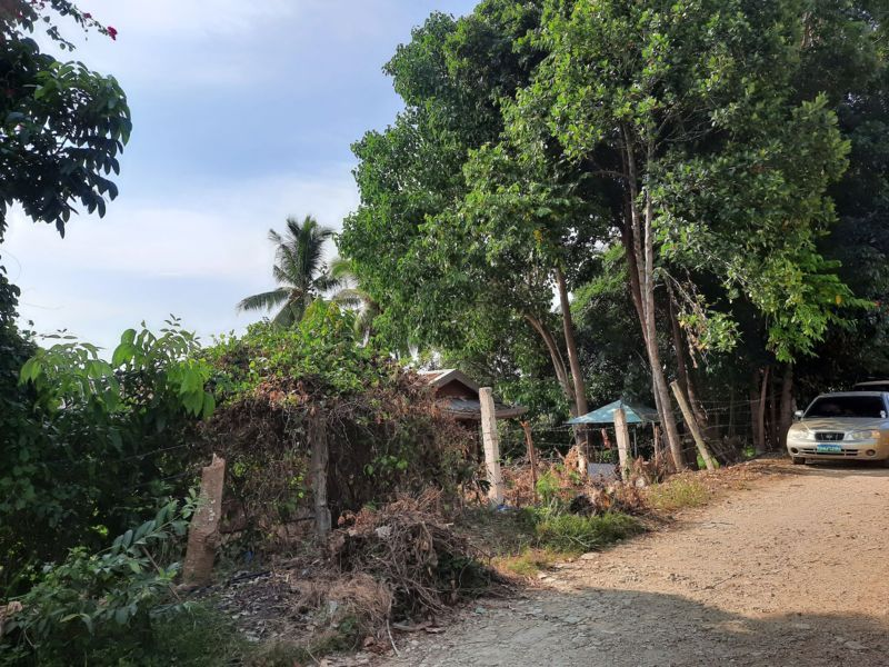 10.5 hectares affordable lot for sale in barili cebu - 02