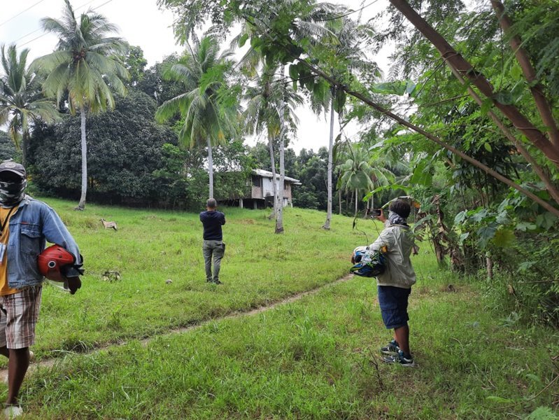 affordable lot barili -06
