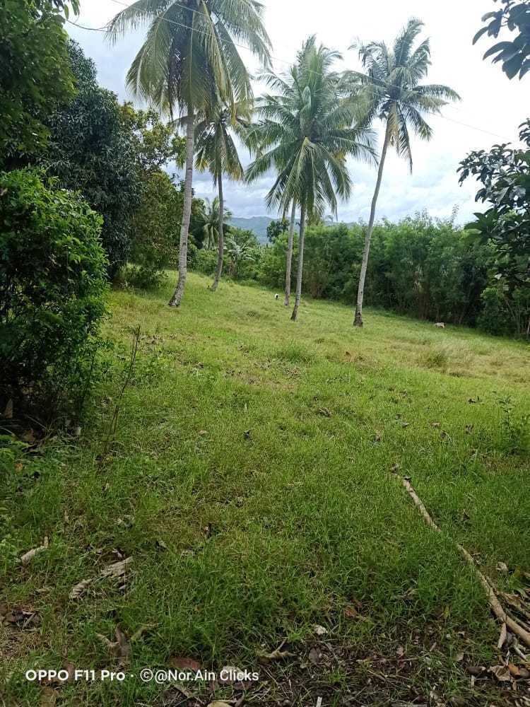 affordable lot barili -07