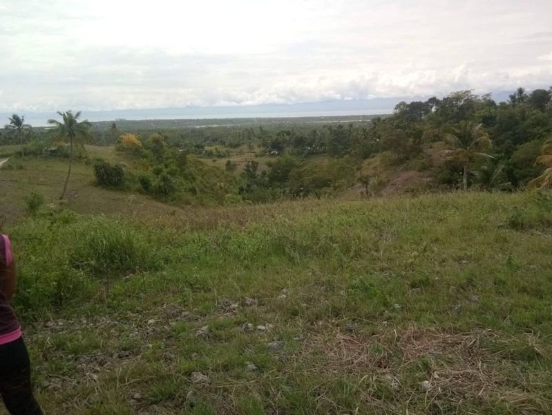 1.3 Hectare Land Properties for Sale in Alcantara Cebu
