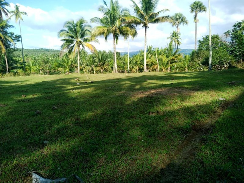 land properties for sale in aloguinsan cebu - 03