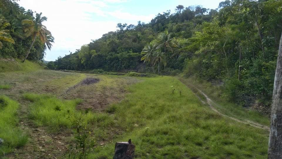 land properties for sale in argao cebu - 03