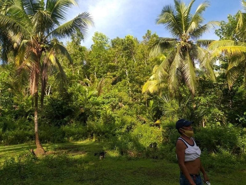 Land Properties for Sale in Balilihan Bohol Philippines