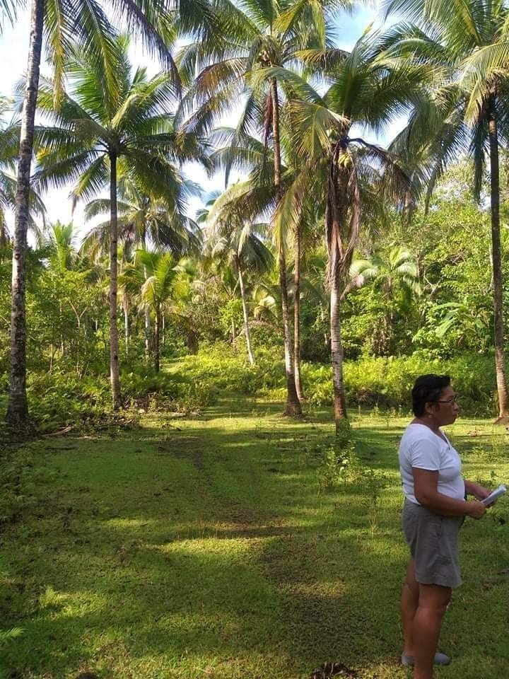 Land Properties for Sale in Balilihan Bohol Philippines