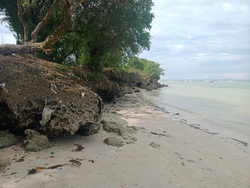 9.8 Hectares Beach Lot for Sale in Bantayan Island Cebu