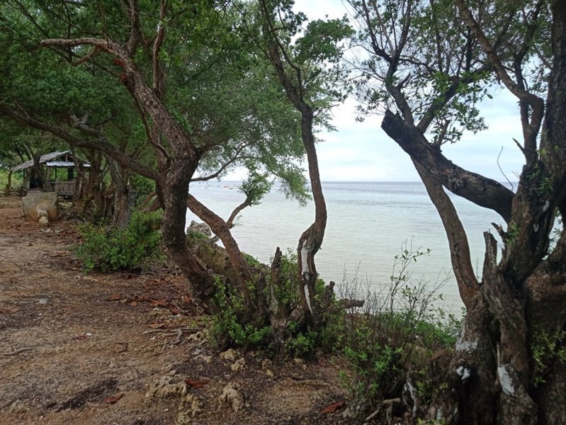 9.8 Hectares Beach Lot for Sale in Bantayan Island Cebu