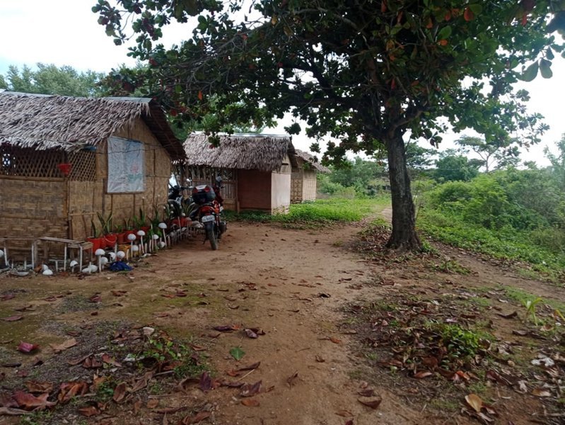 9.8 Hectares Beach Lot for Sale in Bantayan Island Cebu