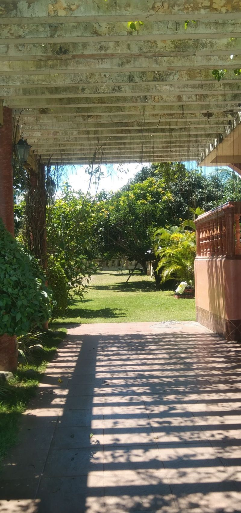 beach house and lot for sale in bato toledo city - 11