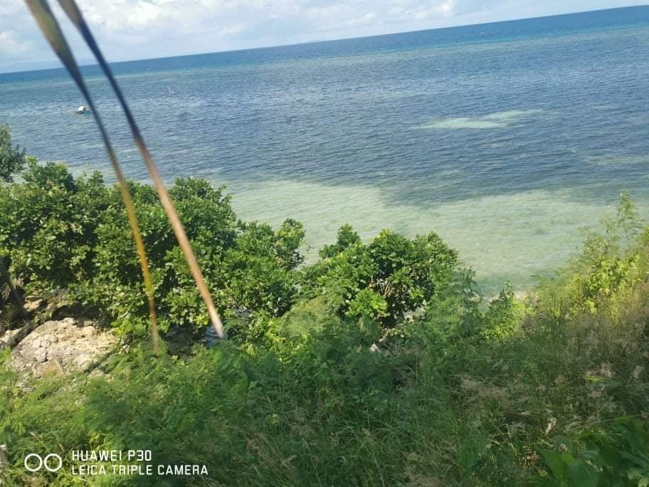 Very Nice Beach Cliff Land for Sale in Dalaguete Cebu