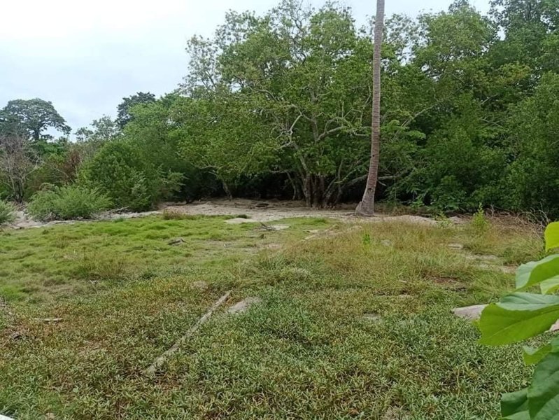 Beachfront Lot for Sale in Panglao Bohol Philippines