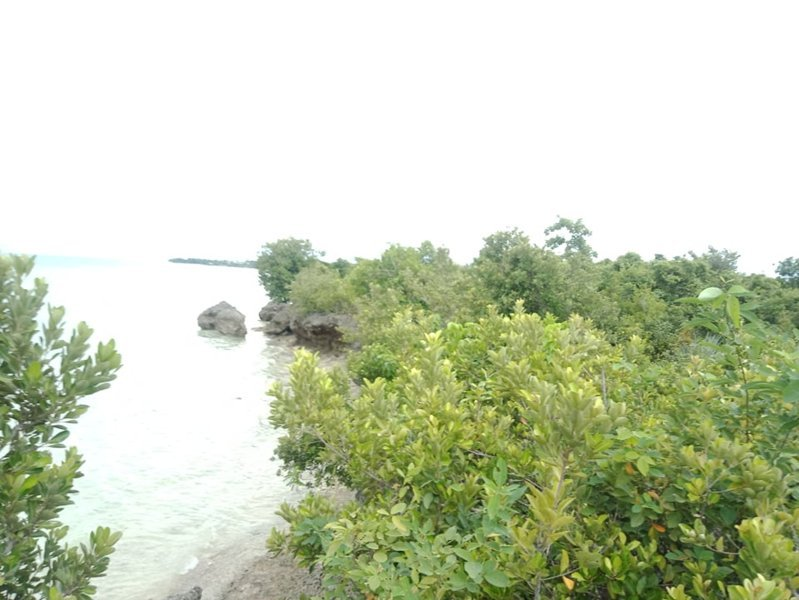 moalboal beach lot for sale -02