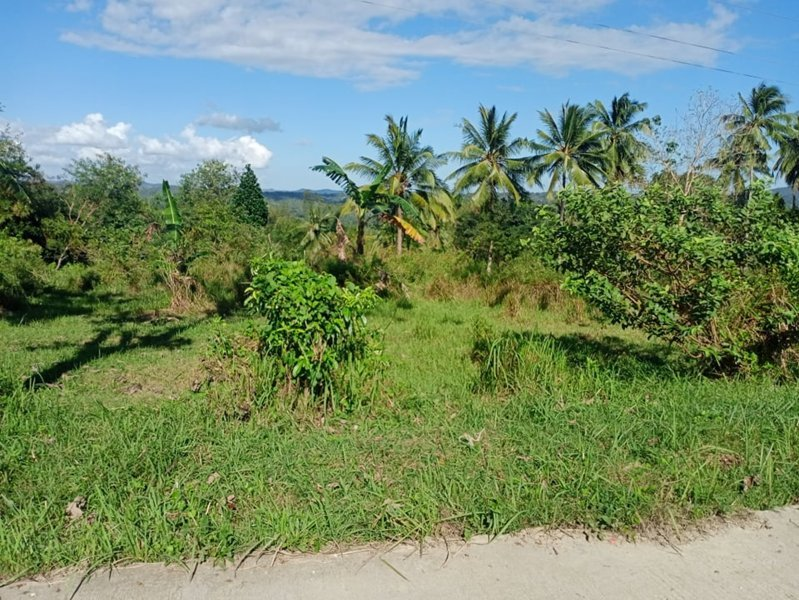 land properties for sale in cagay barili cebu - 02