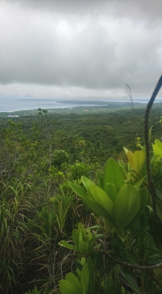 homes for sale near loon mountain