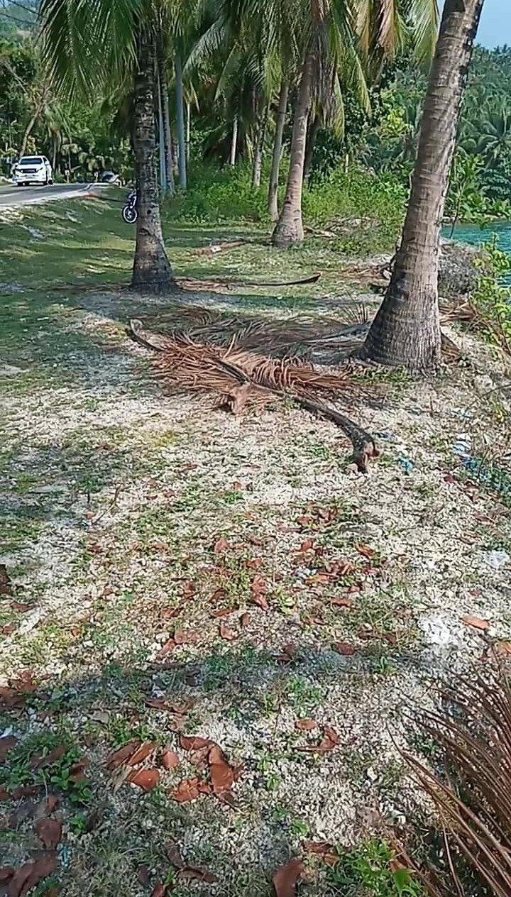 Cliff Lot for Sale at Badian Alegria Cebu Philippines
