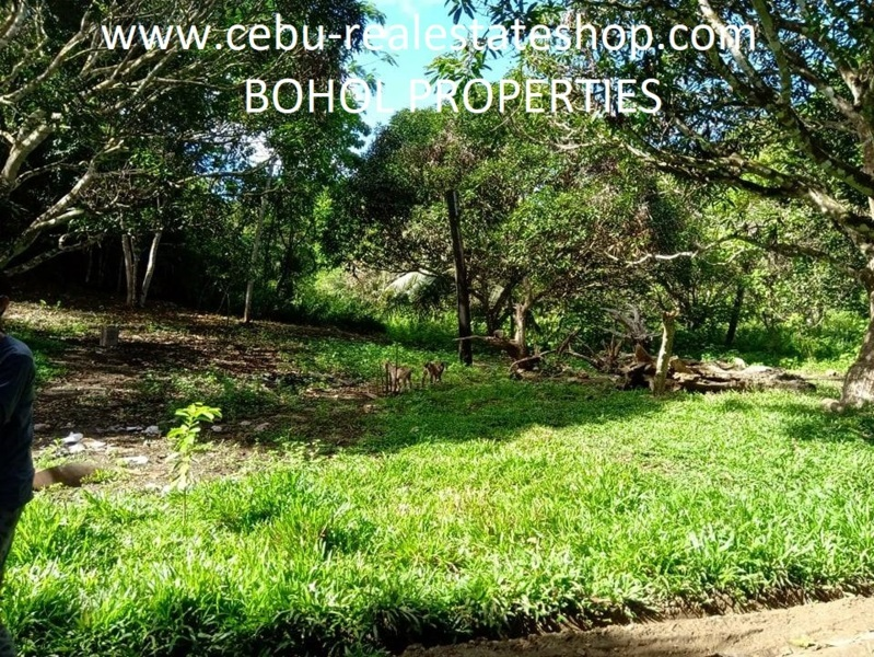 corella bohol properties -01