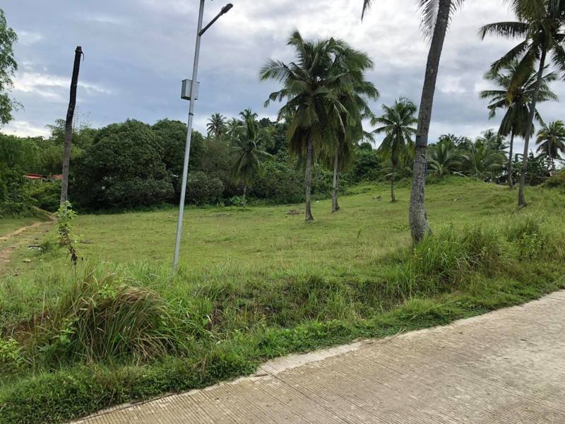 10 Hectares Lot for Sale in Esperanza Aloguinsan Cebu