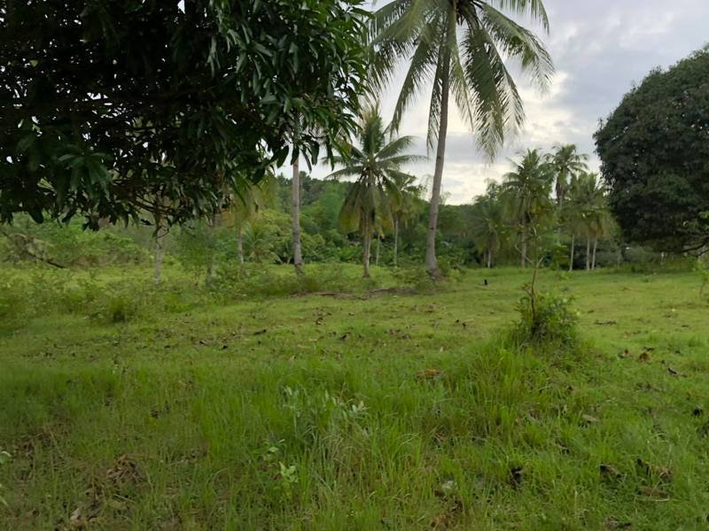 10 Hectares Lot for Sale in Esperanza Aloguinsan Cebu