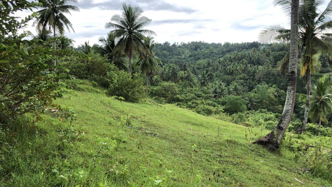 10 Hectares Lot for Sale in Esperanza Aloguinsan Cebu