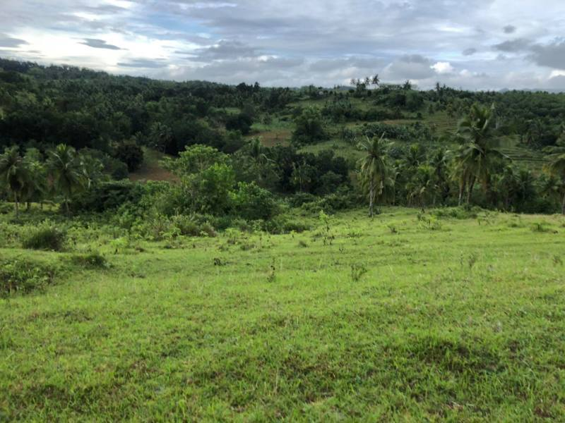 hectares lot for sale in esperanza aloguinsan cebu - 16