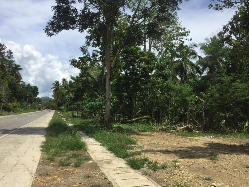 commercial lot for sale in inabanga bohol - 01