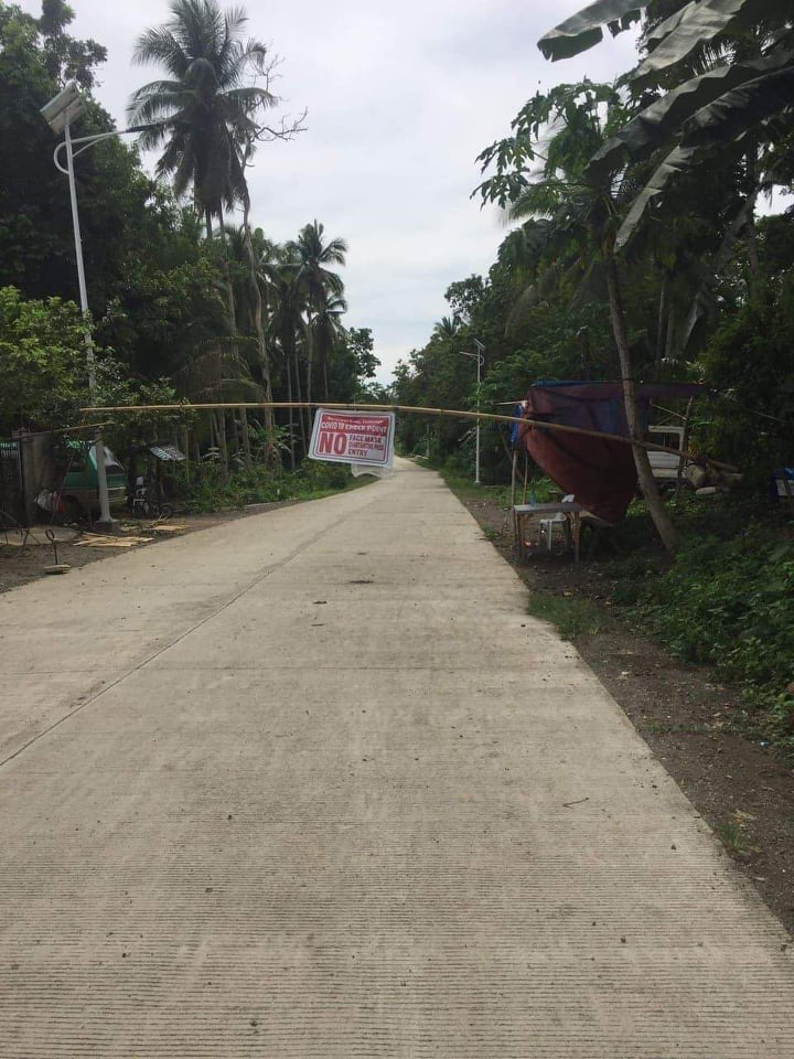 commercial lot for sale in inabanga bohol - 05
