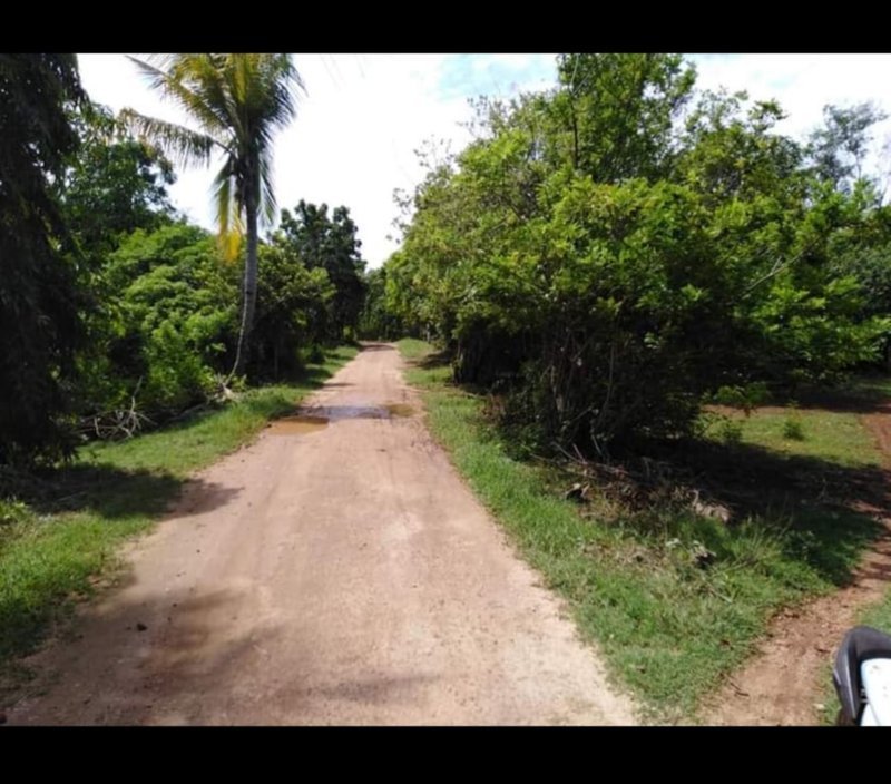 2.4 Hectares Lot for Sale in Kangkaibe Bantayan Cebu