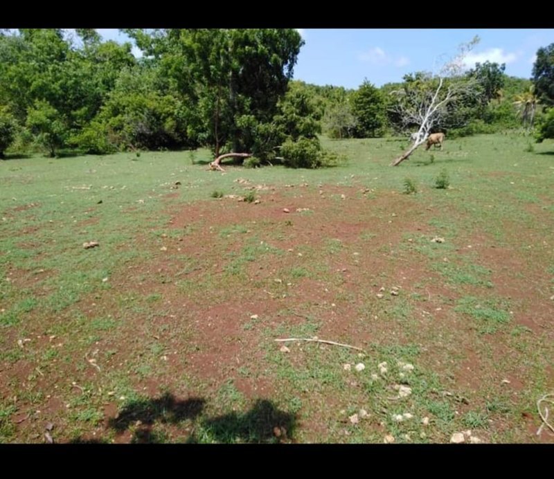 2.4 Hectares Lot for Sale in Kangkaibe Bantayan Cebu