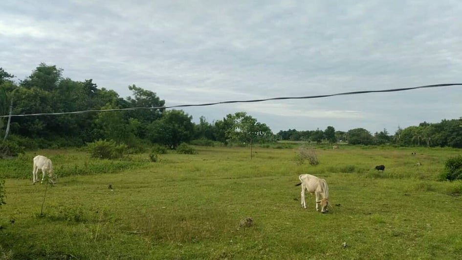 2.4 Hectares Land for Sale in Kodia Madridejos Bantayan