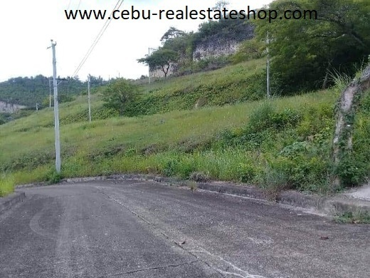 aspen land or lot for sale in consolacion cebu - 06