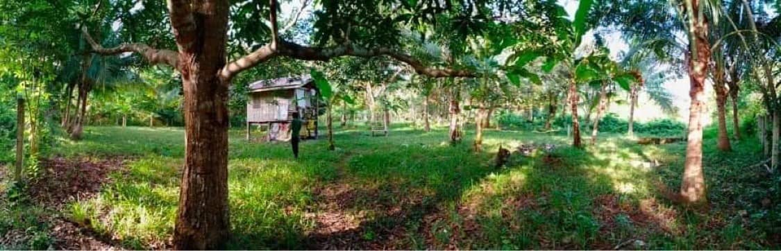 lot for sale in bil-isan panglao bohol - 03