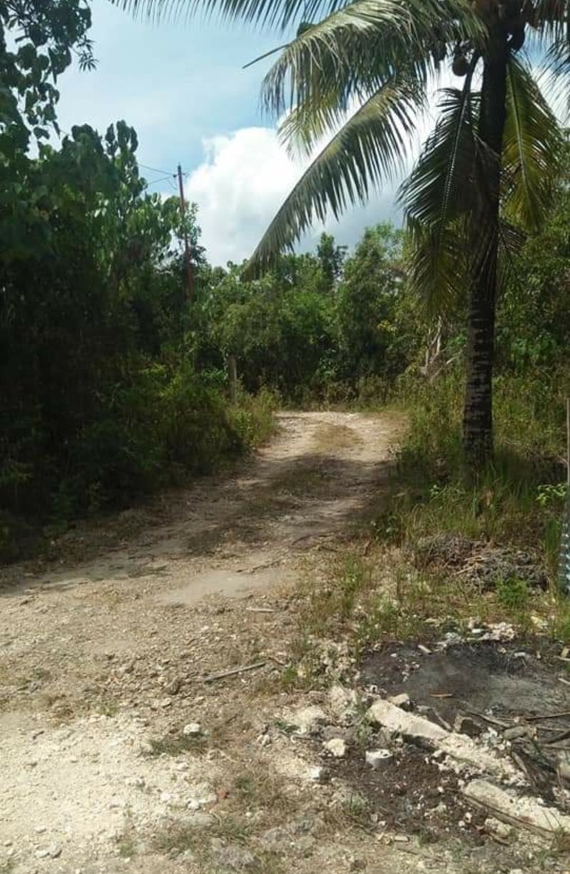 1000 sqm Land for Sale Tinago Dauis Bohol Philippines