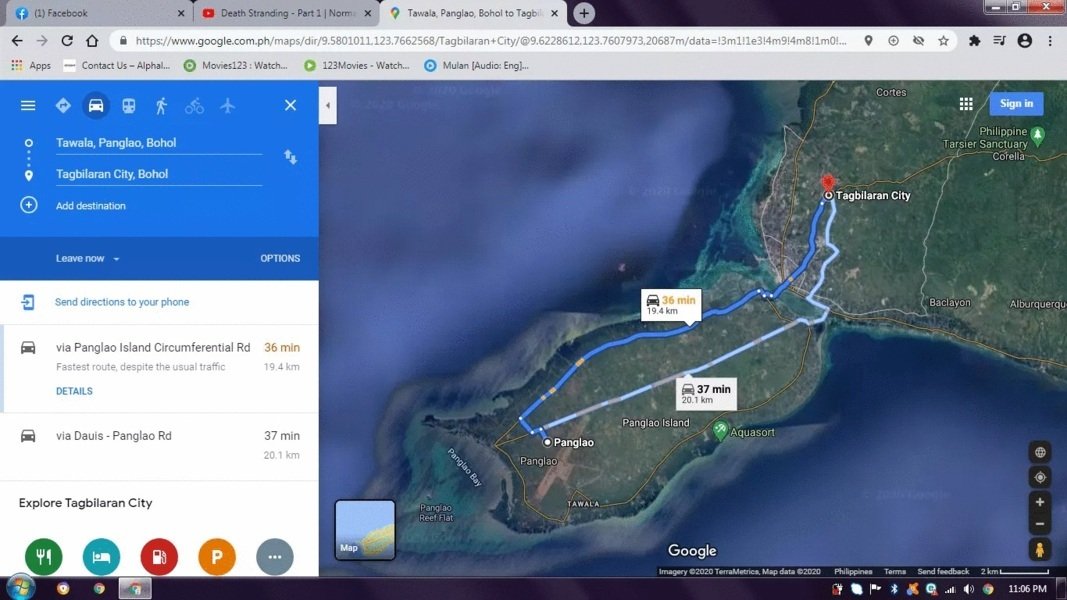 4.6 Hectares Land for Sale in Panglao Bohol Philippines