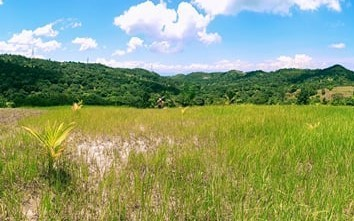 landahan -02
