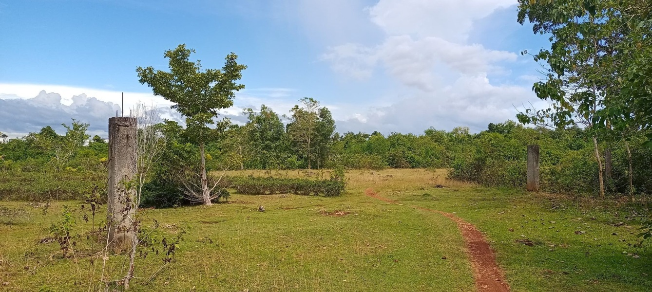3 hectares lot for sale in libaong panglao bohol - 01