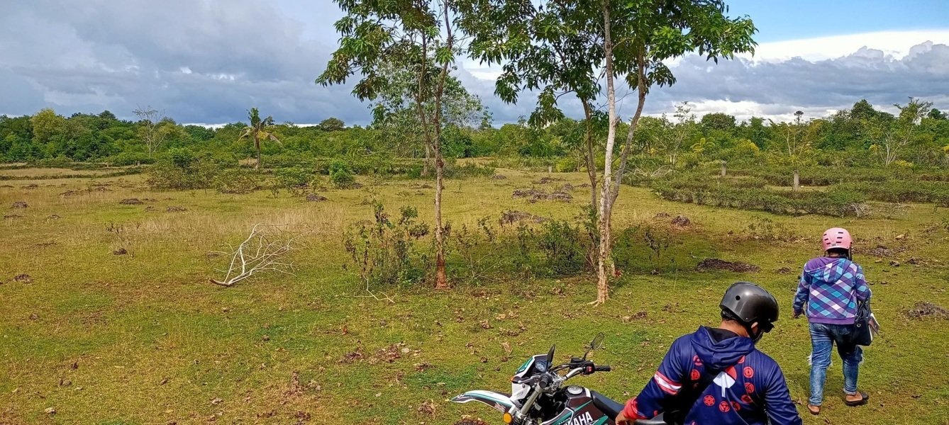 8.7 Hectares Properties for Sale Libaong Panglao Bohol