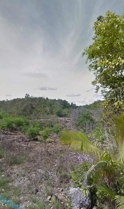 2 hectare lot properties for sale in libertad baclayon bohol - 06