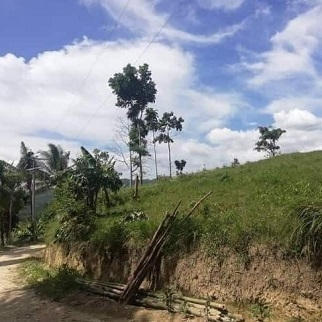 Click below for 300/sqm Land in San Fernando Cebu