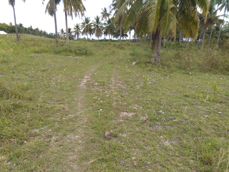 4685 sqm Lot for Sale in Mananggal Dalaguete Cebu