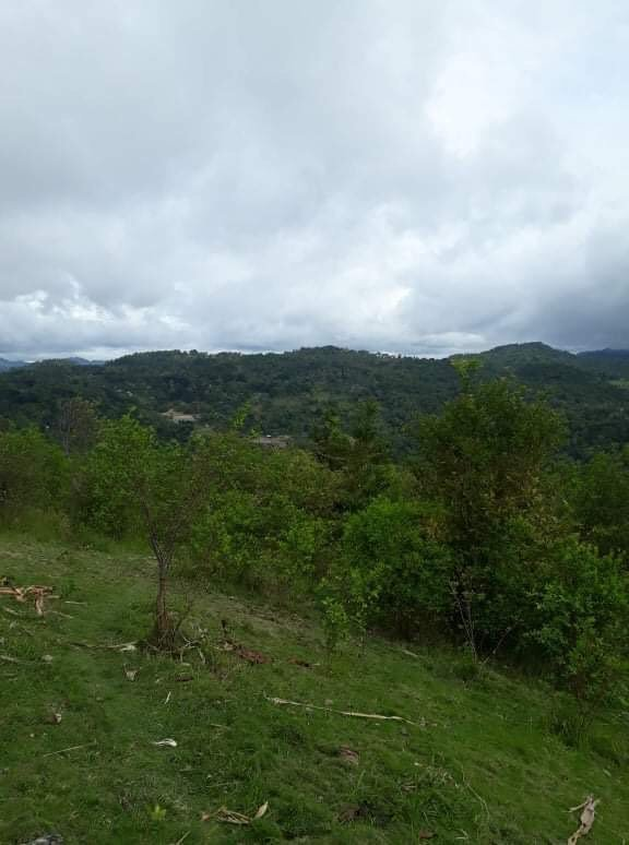 mountain balamban -04