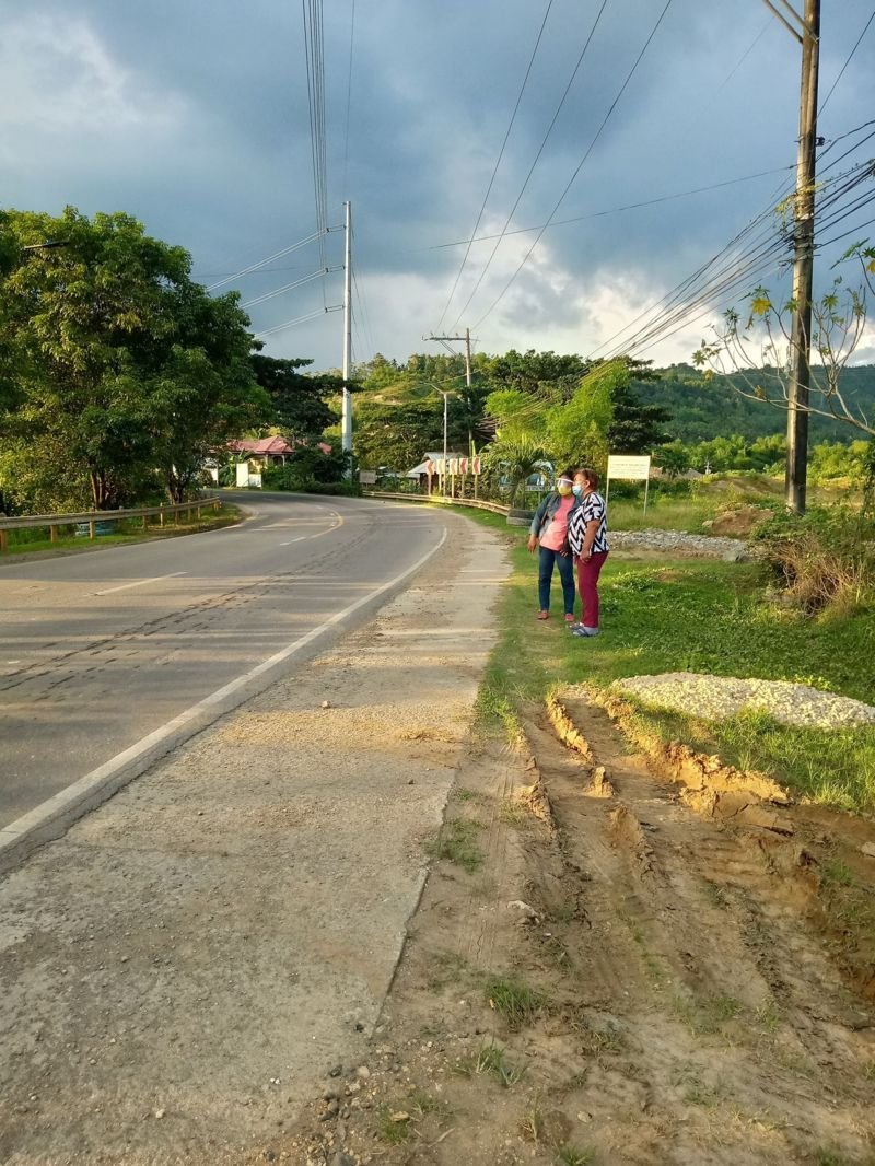 5.4 Hectares Land Properties for Sale in Naga City Cebu